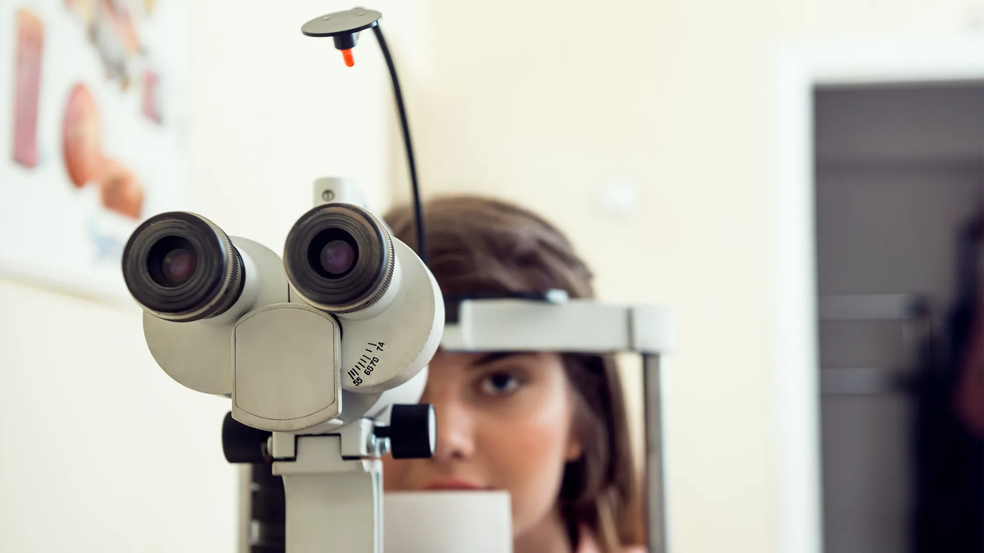 badanie wzroku dorośli